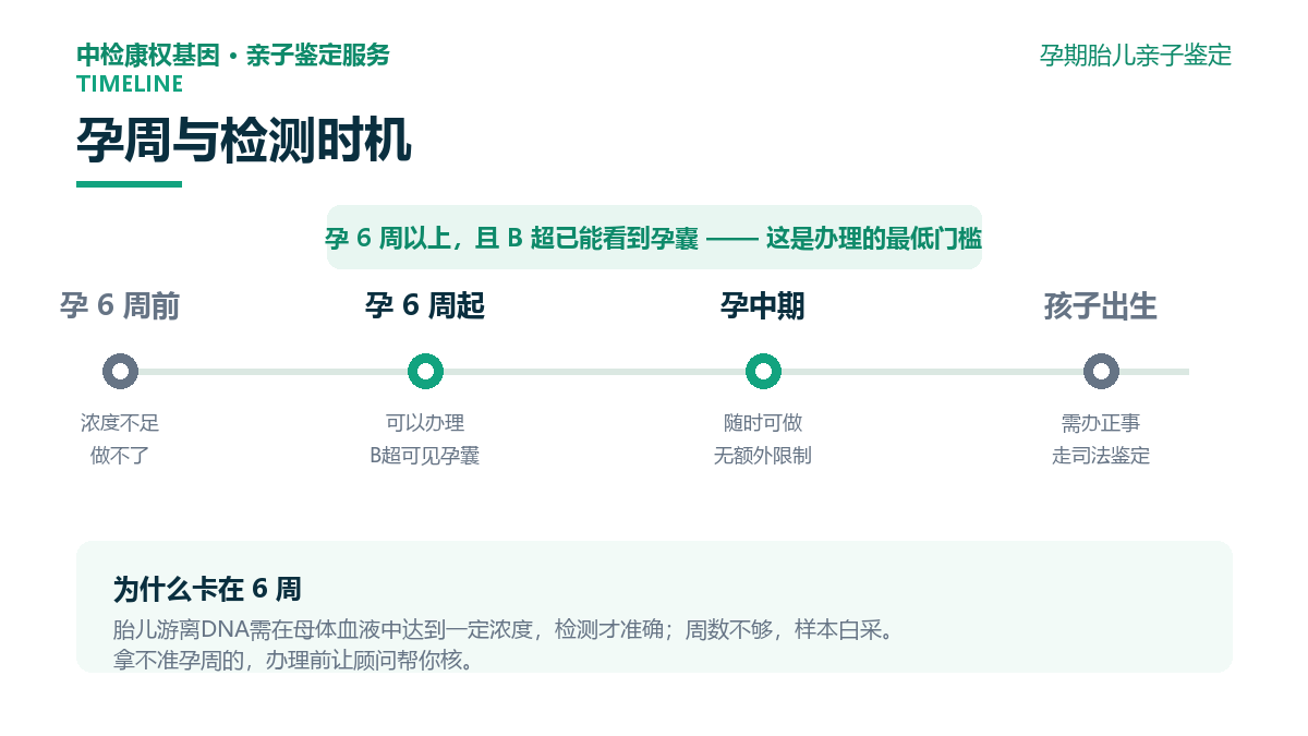 孕周与检测时机时间线 孕周与检测时机时间线
